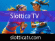 Slottica TV hizmetiyle sporseverleri mutlu eden düzeydedir.